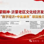 弘扬沂蒙精神——沂蒙老区文化经济发展论坛在临沂隆重举行
